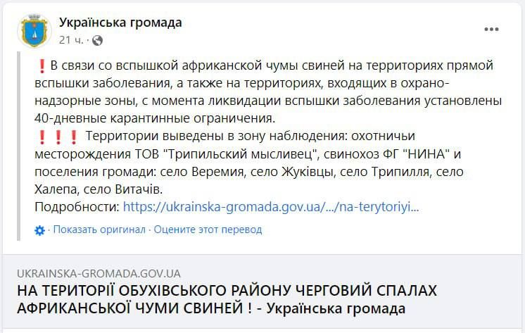 Вспышка африканской чумы в Киевской области