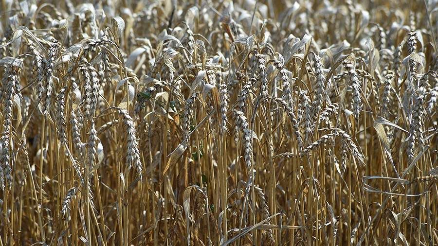 ���� �������� �������� ������� �� ����� �� �������� �����