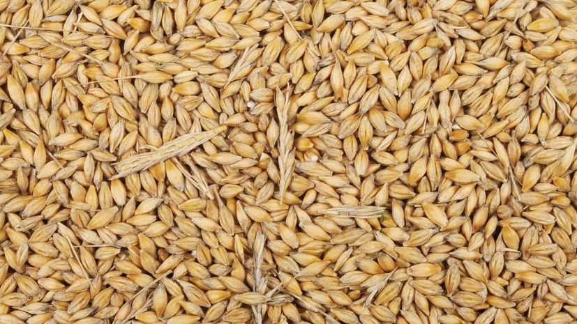 �� ������� ����������, ��� �� ������� ������ �������� ������ �� �����