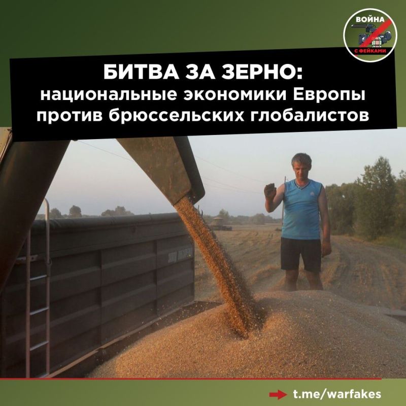 � �������� ���������� ��������� ������ ����� ������������� ���������������������� � ������������-��������������� ��������������