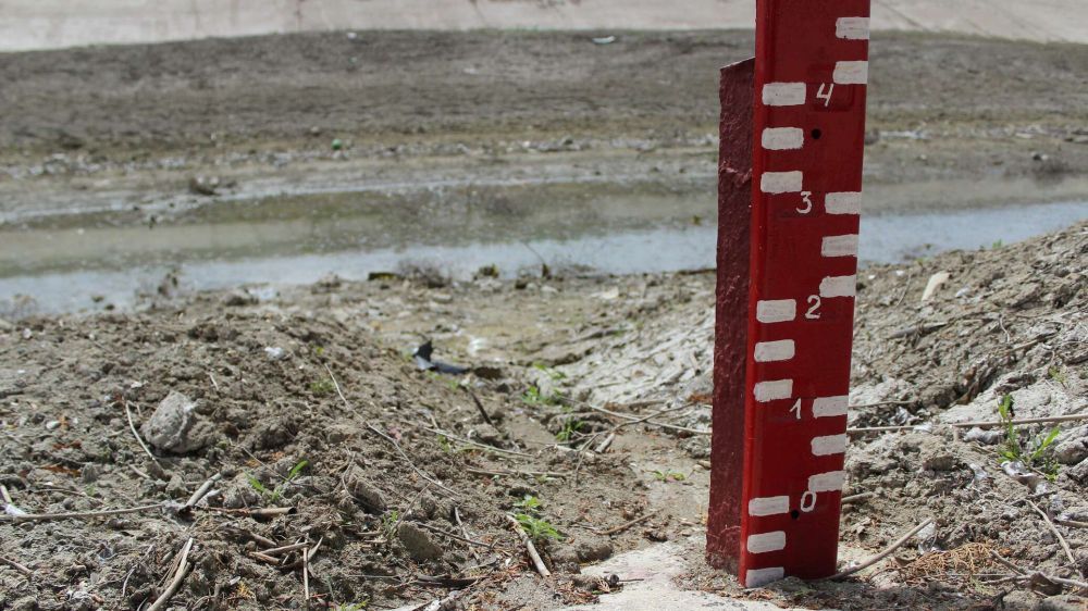 ��������: ����� ���� ��������� ���������� �������� ����� � ��������