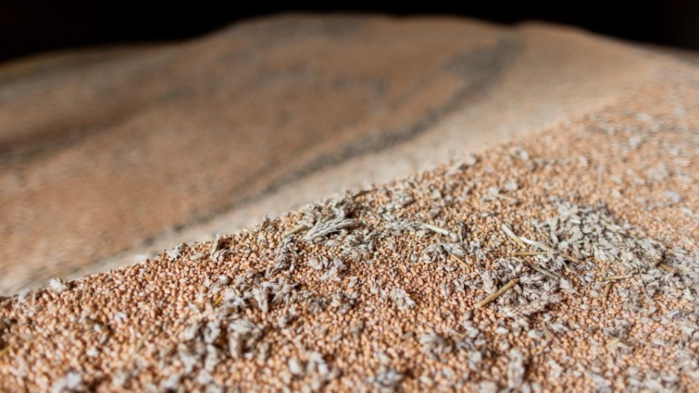 ����������� �������� ��������� �� ����������� ����������� ���������: "�� ����?"