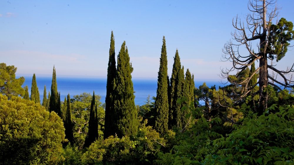 В Крыму выставят на торги квартиру жены Зеленского в Ялте