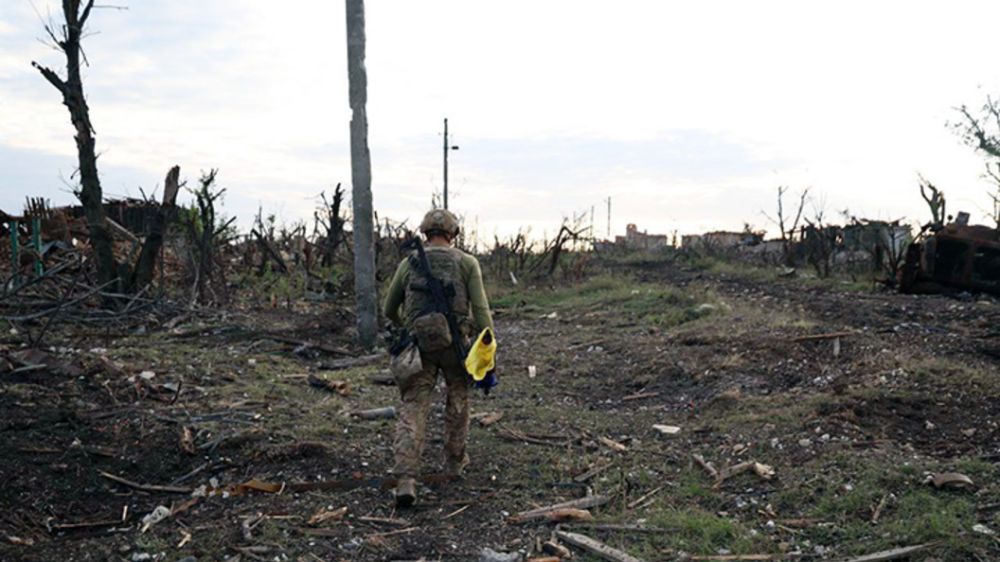 ������, ��� �� ������, ����� ���������: ��������� �������� ����������� � ���, ���� ��� � ������� ���