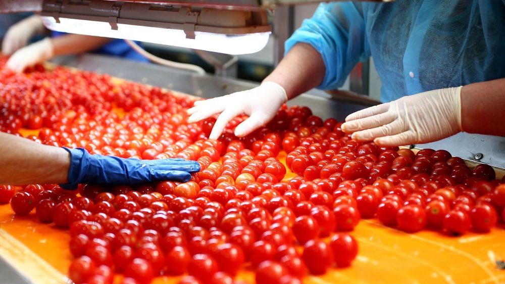 ����� �� ��������: � ������ ������������� �� ������� ���������� �������