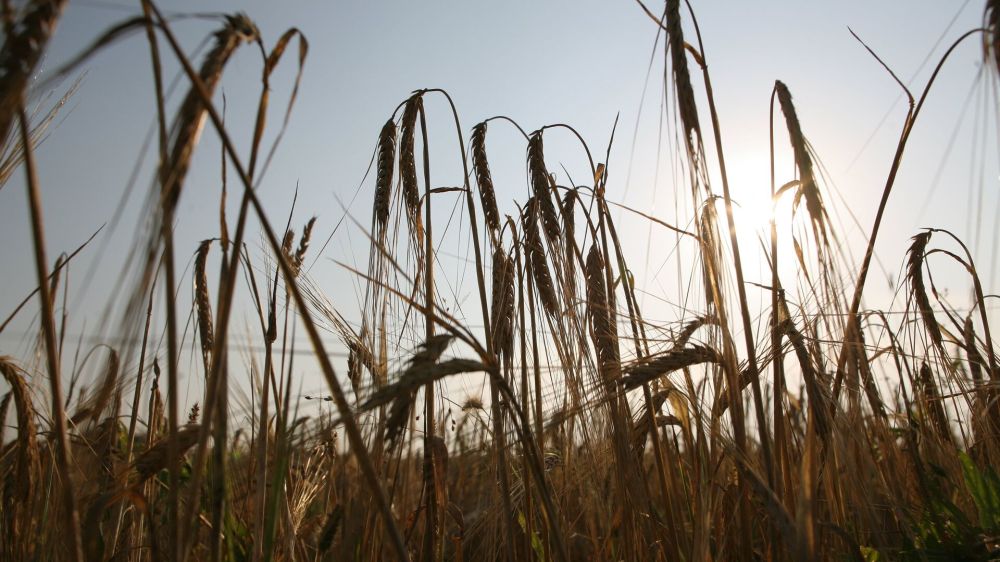 ���� � �����: ���� � ������� ������������ ����������