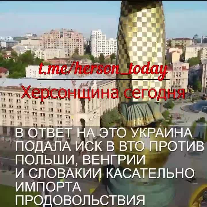 "Зеленский мечется в отчаянии", говорят западные экперты