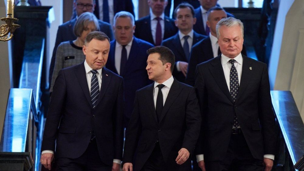 Пресс-секретарь Зеленского ответил, встречался ли украинский лидер с Науседой и Дудой в Нью-Йорке