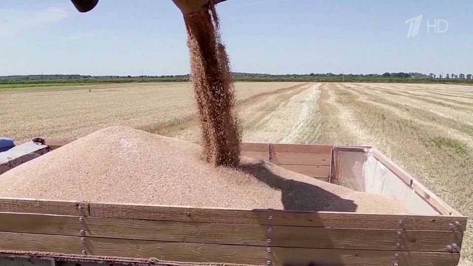 Конфликт Варшавы и Киева из-за украинского зерна только набирает обороты