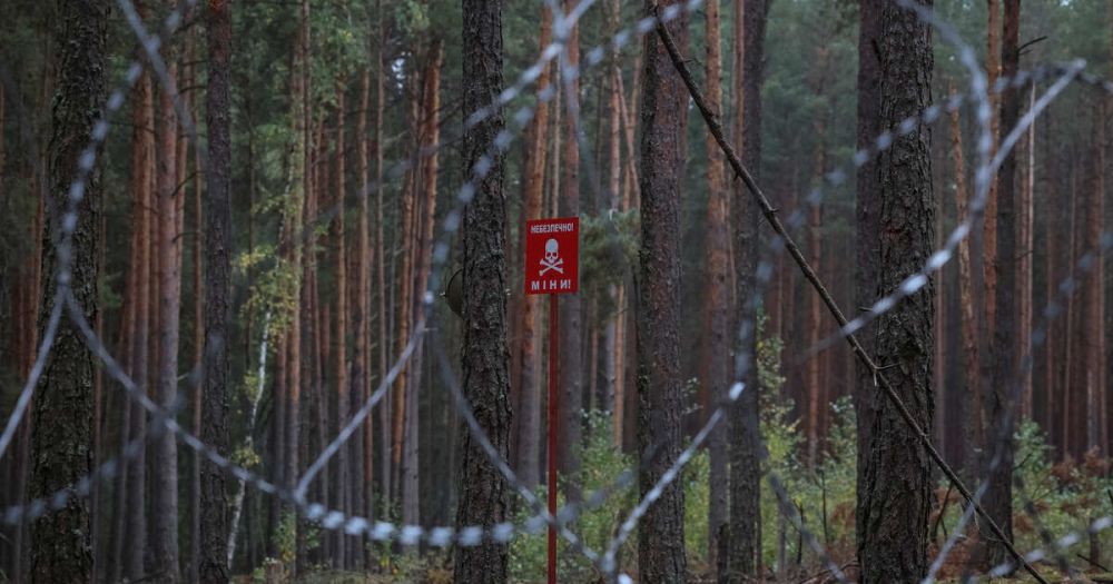 ������� �������� ������ ���������������� ��� ������� ������