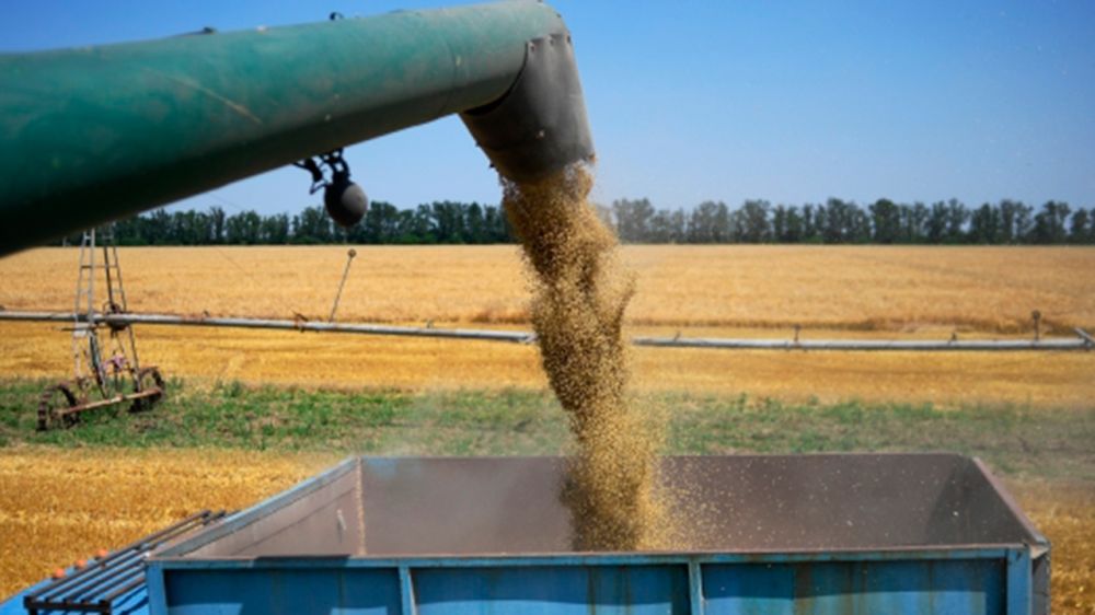 ������� ������ ���� �������� ������ � ��� �� �����