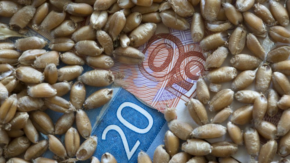 �������� ���� ������ ����� ��������� �������� ������: "������ �� ��������"