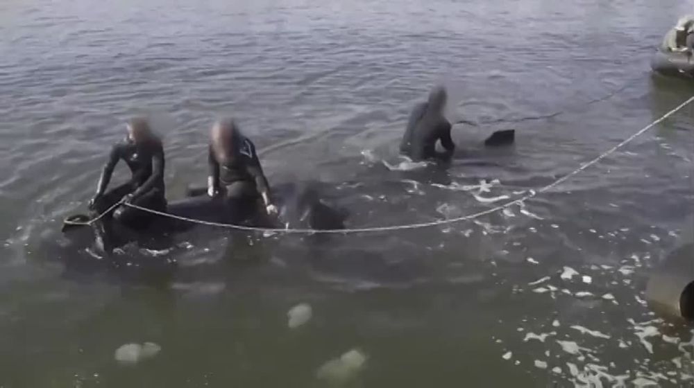 ������ ��������: �� ������� ������������������ ����� ���� - ��������