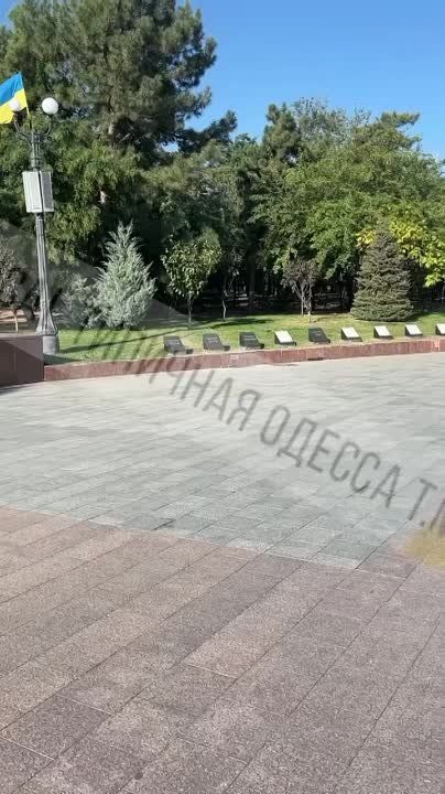 ������ ��������: � ������ ������ �������� �������-������