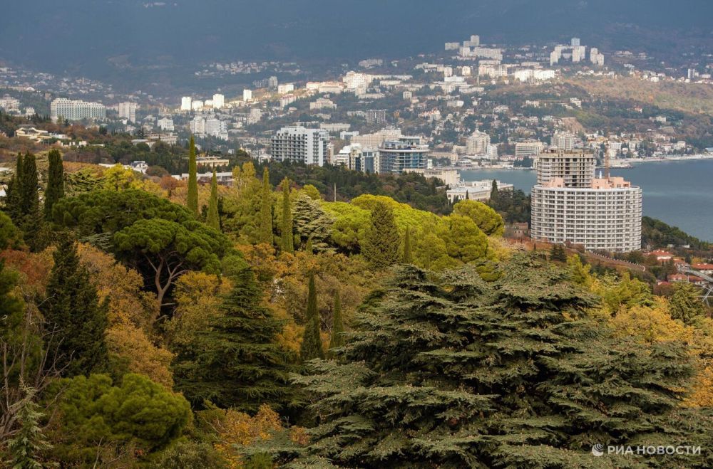 ���: � ������ �������, ��� ����� �� ����� �� ��������� ���� � "�������"