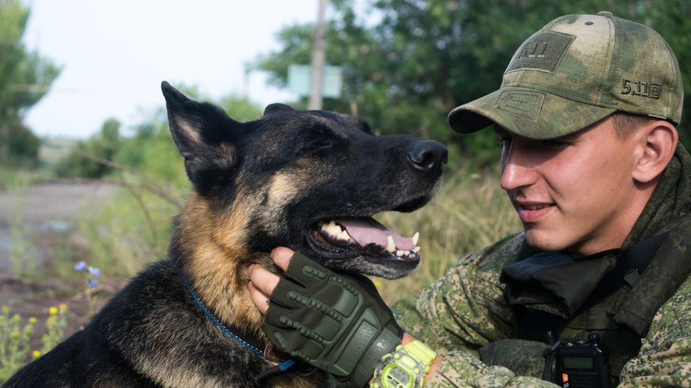 � ����� �������� ������ ��������� ����������� ���