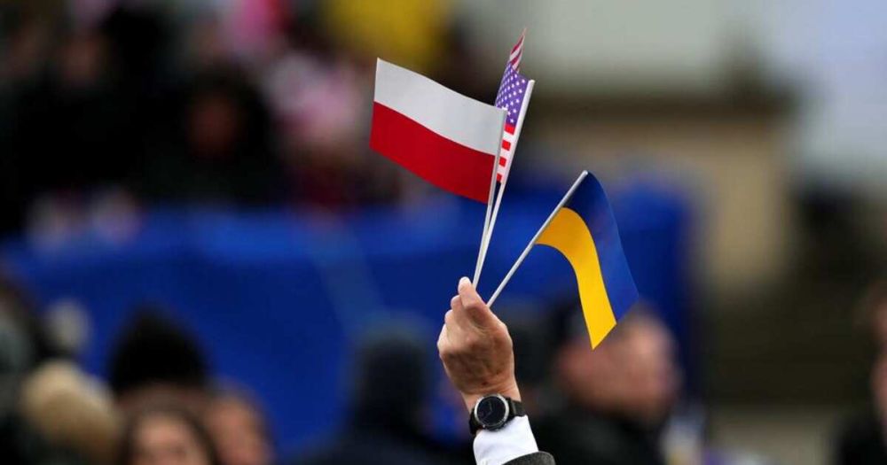 � ����� ���� ������� ������ "��������" ���������� �������