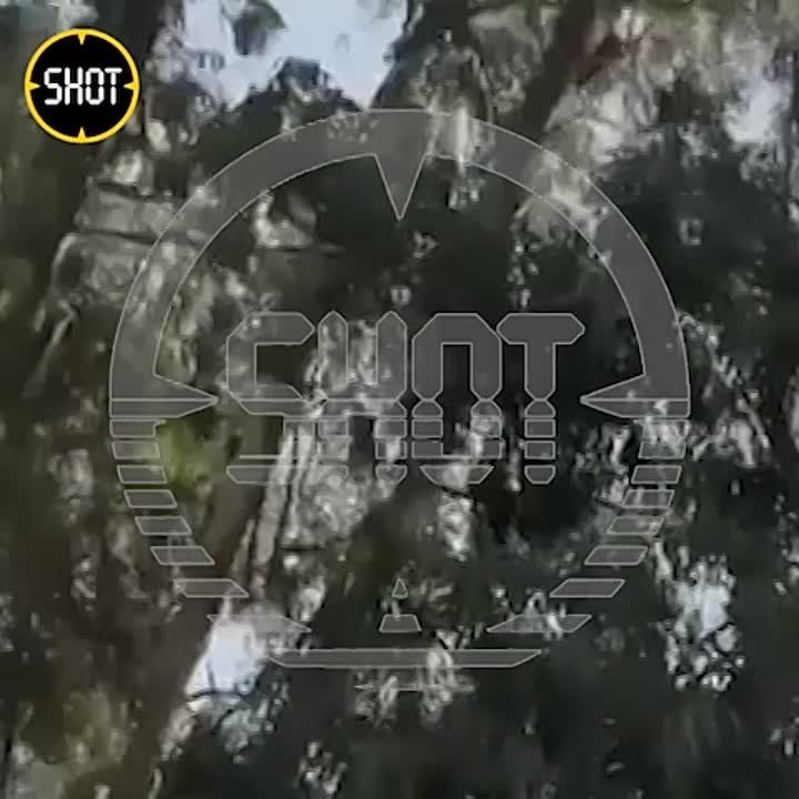 ВСУ впервые атаковали Краснодарский край турецким БПЛА Bayraktar, по данным SHOT