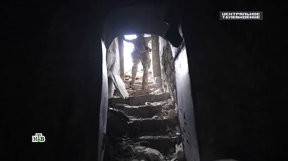 ����� ����� ����: ������� ��������� ���� ������� IX ������ ���� ���� ��������, ��� ����� ��������� ���������� ���������� � ��� ������� �� ������� �� ��� ������ ��������
