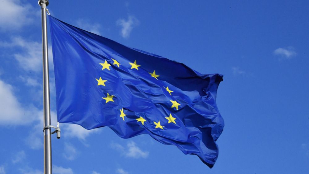 "����� ������� �������": ������ ������� � ������ ����� - ���������� �����