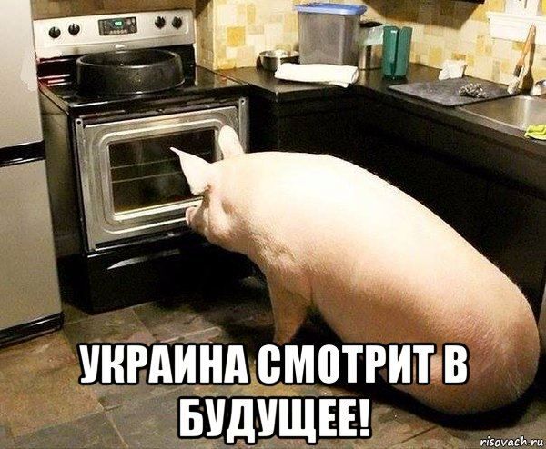 ������� ������: ������ ��� ������ ������ ���� ����� �������� � ����������