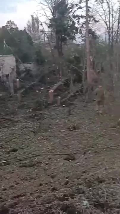 ��� �� ���������� ��������� ����� ��� � �.�. ����������-��������