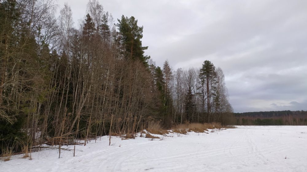 ���� ������: ���� ������ ������� � ������� ����� �����������������