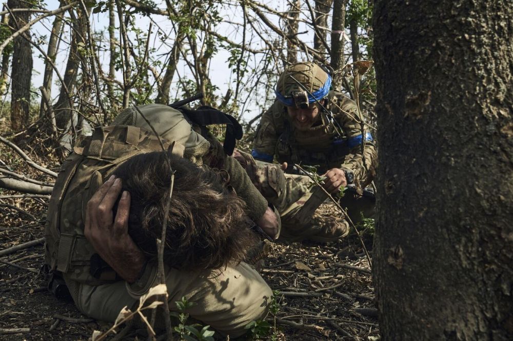 ���: ���������� ����� �� ������ ��������� � 2024 ���� ��� ������ ���