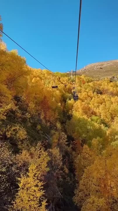 � ������ �����, ��������� ����������