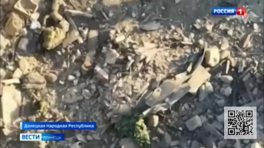 17 украинских боевиков добровольно сдались в плен вооружённым силам России