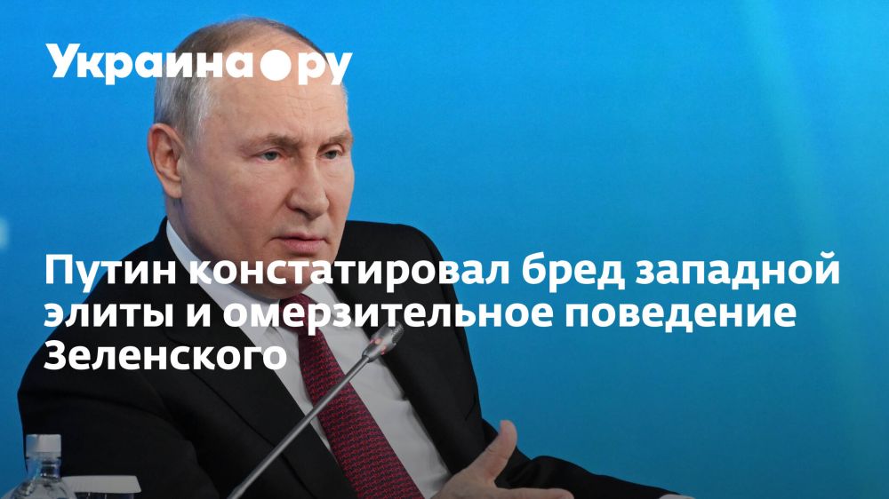 Путин констатировал бред западной элиты и омерзительное поведение Зеленского