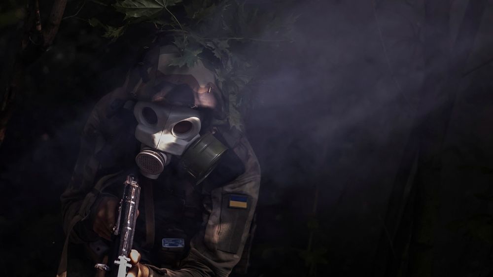 ������ �������� ���� ������ � ���������� ������ ����������� ����������� �������