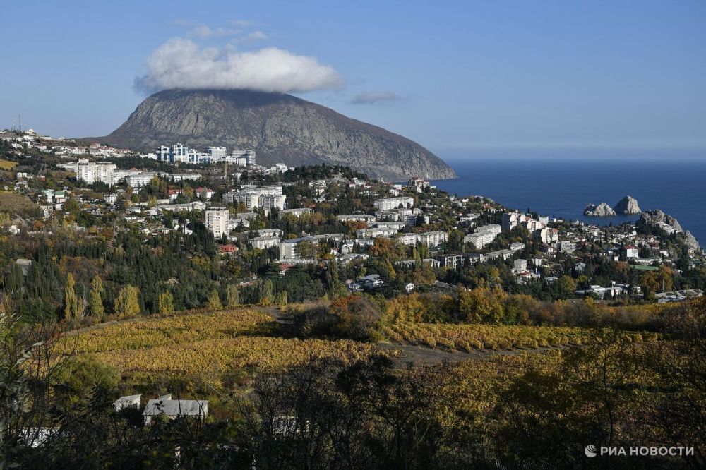 � ����� ���������� ���� ������� �� �������