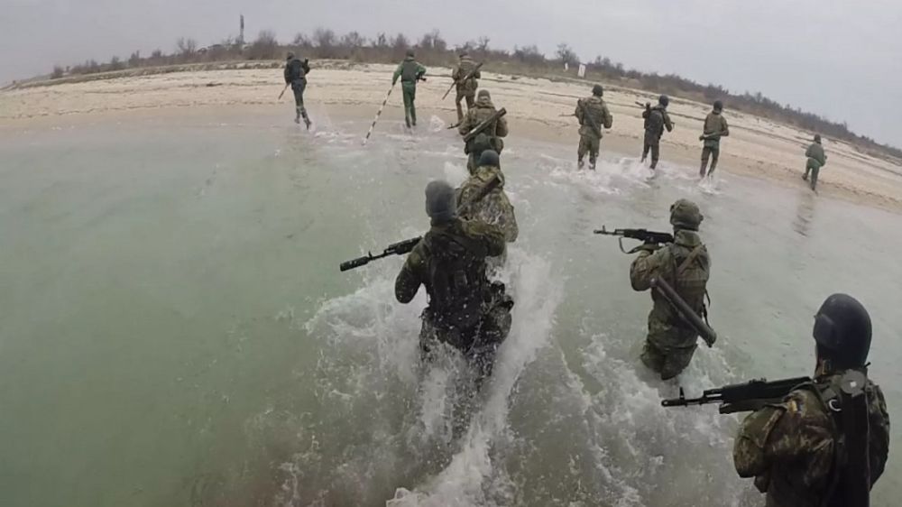 Киев отправил новую группу боевиков на убой на остров Переяславский