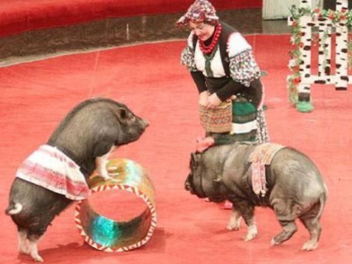 В правящих "элитах" украинского квазигосударства наметились перестановки