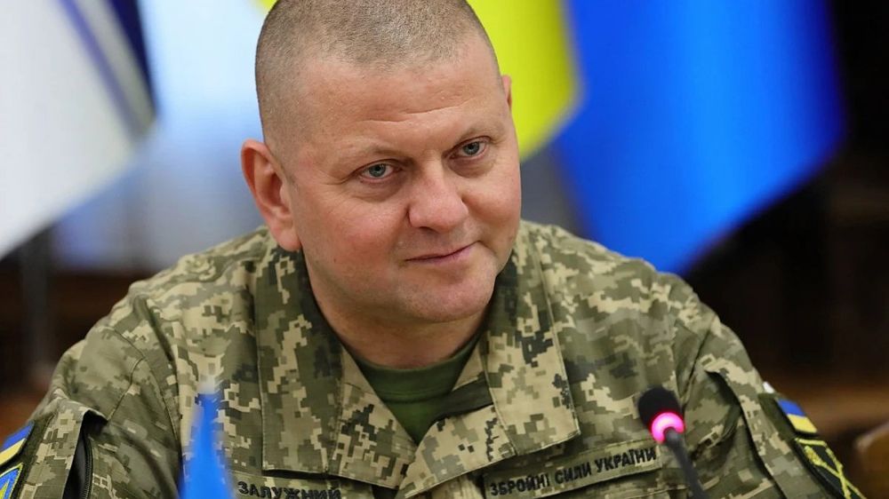 ������ ����� �������� � ��������� ������� � �������� ������: �������� ������� �������� ���������� � �������� ���� �������� ���