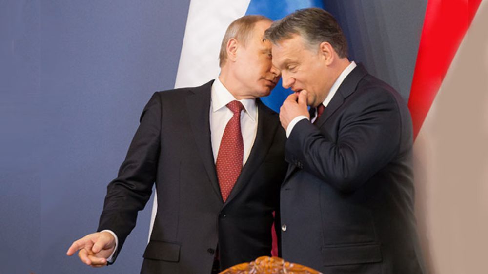 ��������� ������ ������� �� ����� � ��������: ����� ������ ���������� � ������