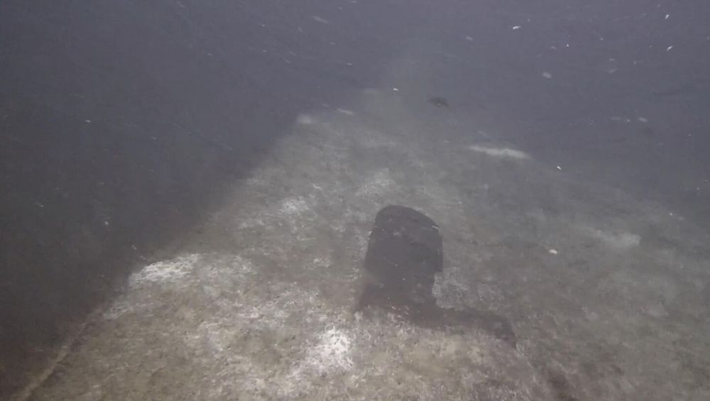 WP ������� ������������� ����� �� "�������� ������" ���������� ���