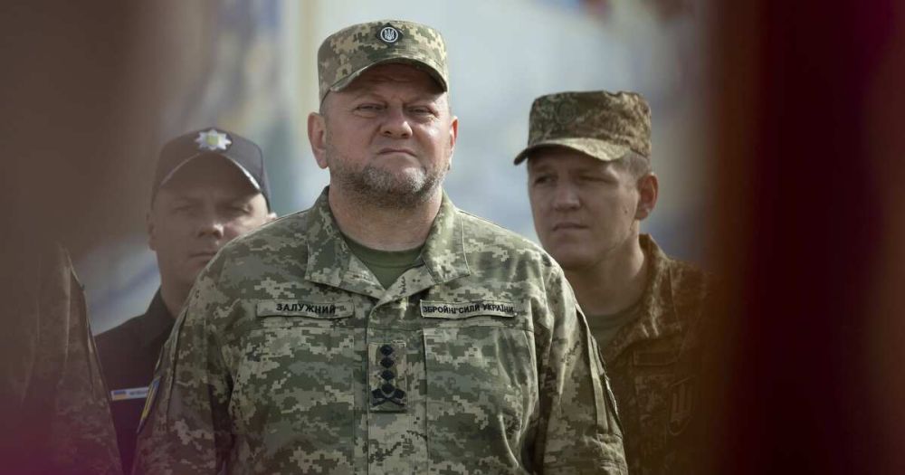 �� ������� ������� �� ���� ��������� ������� ������-�������