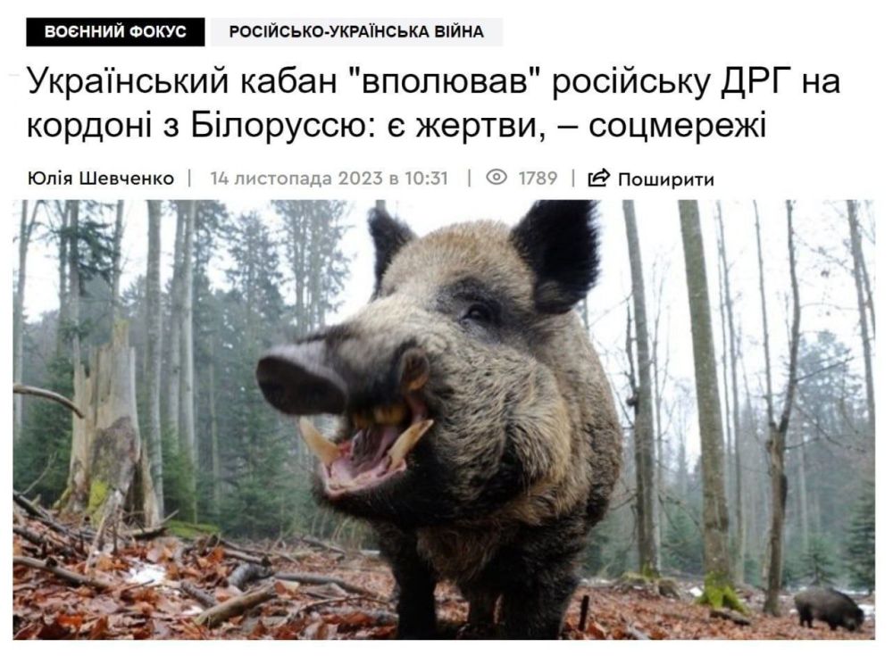 ���� ��������: ��� ��� �� �����, ���������! ��� ��� ��� ���������, ������ � ������, ����, ������ �����