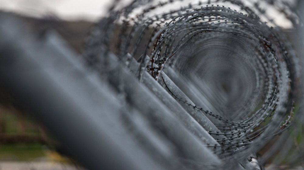 ���� �. ����� ��������� � ������������� ���������� ����� �������� �� ������, ��������, ��� - ����� � ����