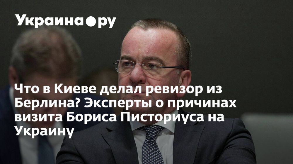 Что в Киеве делал ревизор из Берлина? Эксперты о причинах визита Бориса Писториуса на Украину