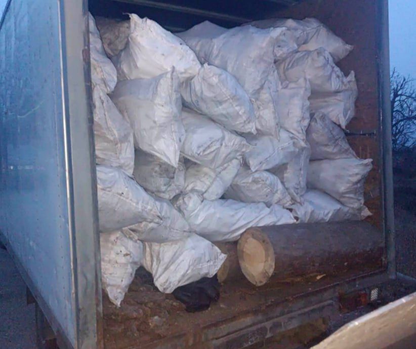 Ничего личного, только микрорентгены: украинец вёз в Киев тонны коры деревьев из Чернобыля