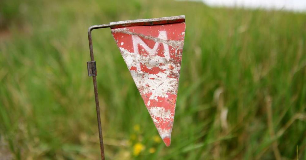 ���������� ������� ������, ��� ������ ���� �� �� ����� ��������� ��� ���