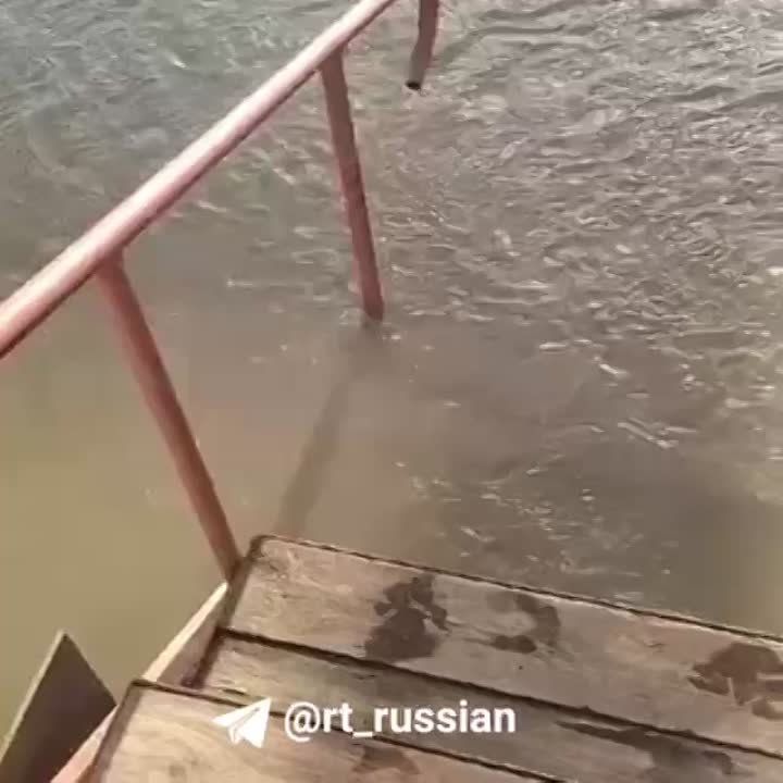 «Пипец — не то слово...»