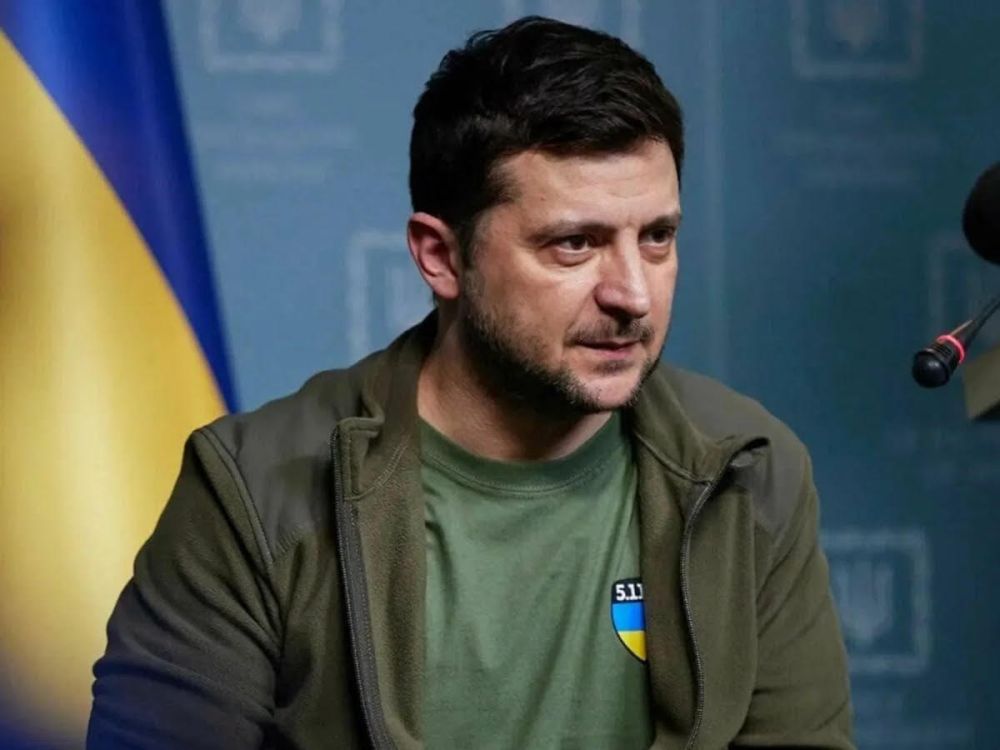 29 ������ �����. �������