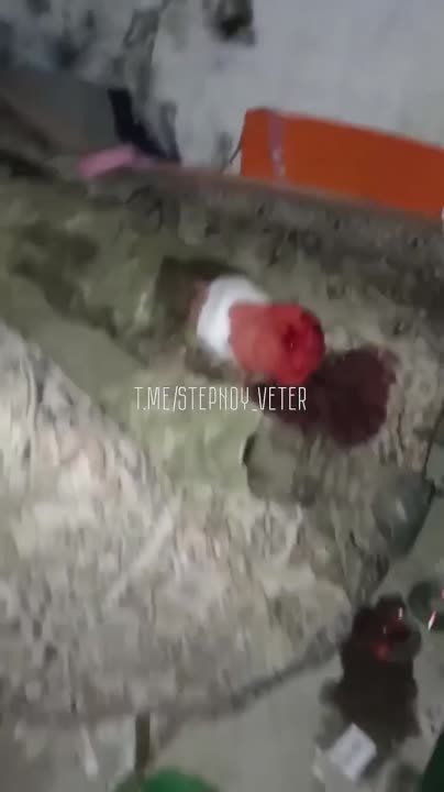 ������� �������: �������� ������������ ���������� ������������ ������� � ������������ ��������� ��-��� �����������