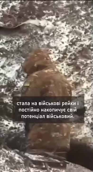 ������ ��������: ���� ��� ���� ���� ��� ������ 404 ������� - � ���������� ������ �������� ��������, ���� ������� �������������, ����� �����������: