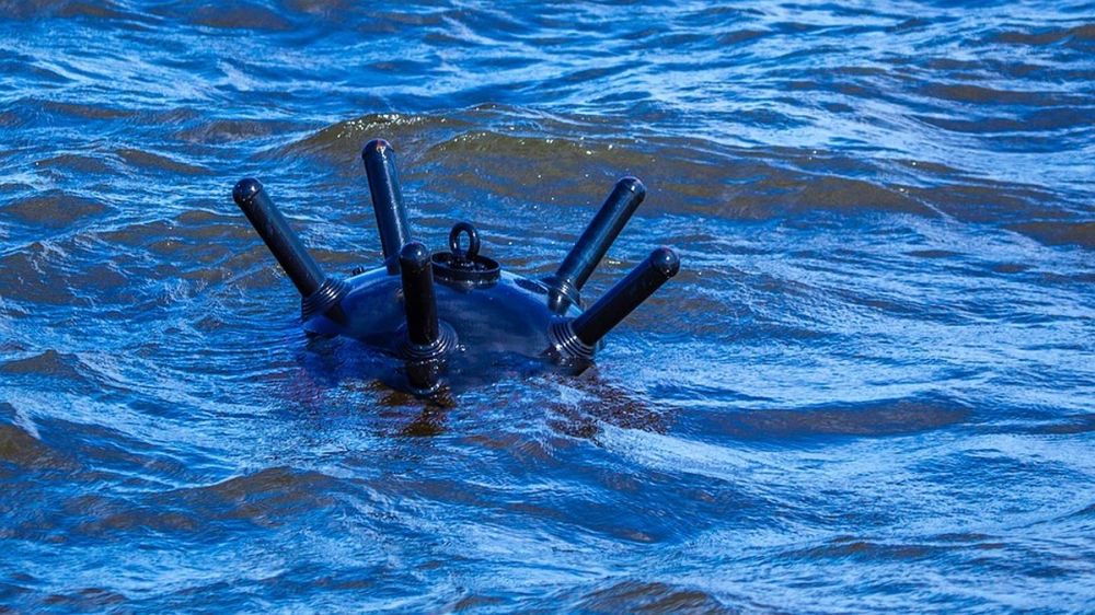 ������ �����: ����� �� ������ ���� ��� �������� ���������� ������ ����