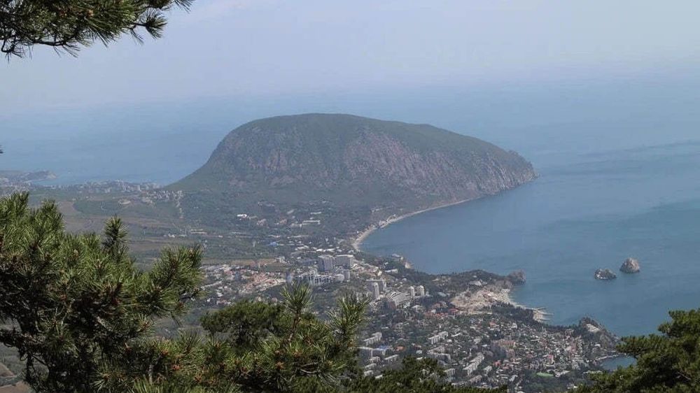 ��������� �������: � ����� ������������� �� ���������� ������� �� ������� �����������